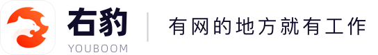 右豹 YOUBOOM · 有网的地方就有工作